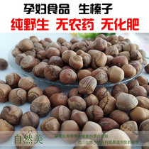 Raw hazelnuts Northeast fresh Daxinganling wild hazelnuts raw not open 500 grams of pregnant women food