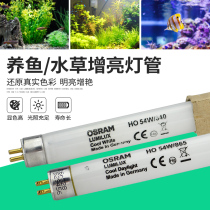 OSRAM fish cylinder lamp aquatic straw tube t5 HO 21 W28W39W54W 865 840 aquarium lamp grass cylinder lamp