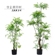 Explosive simulation horsetail Fern Tree model room indoor fake flower landing Fern primitive forest Nordic green plant potted