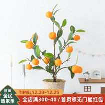 Aying simulation orange tree green plant potted New Year decoration orange fake flower plant Nordic ins Wind living room ornaments