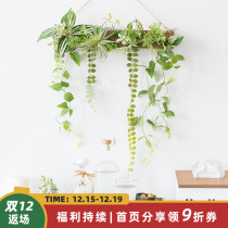 Aying Wall simulation green plant ins Nordic flower creative wall hanging plant Net red pendant background wall decoration