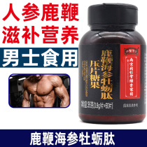 Nanjing Tongrentang Green Gold Home Deer Whip Sea Cucumber Oyster Peptide Mens Polygonatum Maca Adult Chinese Wolfberry Ginseng Tablets dy