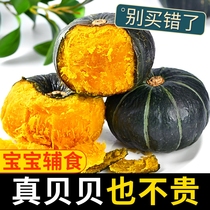 (5kg) Fresh Beibei Pumpkin 5kg Small Pumpkin Baby Supplementary Chestnut Flavor Cream Pumpkin