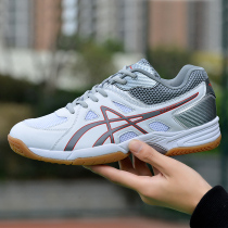 Arthur soil professional volleyball shoes for male and female students to help bounce training non-slip beef tendon bottom badminton tennis shoes