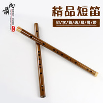 Forward musical instrument factory direct sale of vegetarian boutique Piccolo beginners children beginner students to play flute