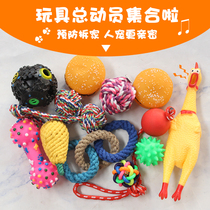 Pet Golden toy ball dog grinding stick small teddy dog dog bite-resistant cotton rope ball puppies big dog training supplies