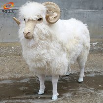 Simulation fur animal sheep model crafts window decoration large sheep Lucky ornaments sheep specimens