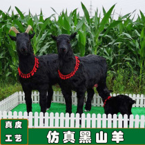 Simulation of black goat model fur animal crafts goat specimen goat milk powder activity decoration fake sheep ornaments