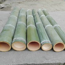 Fresh moso bamboo raw material Bamboo Bamboo Tube bamboo tube rice bamboo tube material custom custom diy bamboo products