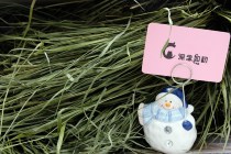 (Deep Nian as the beginning) 2021 special Timothy grass drying rabbit ChinChin Dutch pig drying grass