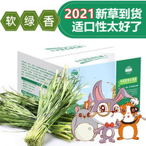 Jessie Rabbit Hay Drying Wheat grass forage Rabbit grass Rabbit grass Dutch Pig Grass Chinchilla forage 500g