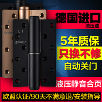 Invisible door hinge automatic door closing damping spring behind closed door hinge hydraulic buffer self-closing concealed door hinge home