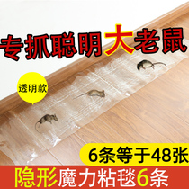 Mouse sticky strong sticky mouse board super strong glue big mouse clip to kill the mouse stick to catch the home mouse artifact