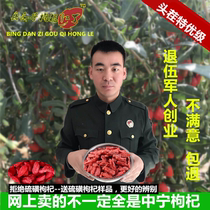 Soldier eggs wolfberry Ningxia super authentic farmhouse natural first stubble tea Zhongning wolfberry disposable new 500g