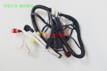 Your Noble Pirate SHR-678 Cross-country Motorcycle NC250 Full Owner Line Large Wire Assembly Line