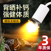 Turtle sun back light Climbing pet uvbuva full spectrum solar lamp Heating heating insulation lamp Calcium sterilization three-in-one