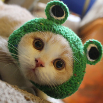 Pet cap frog cat hat 2021 new hand-woven Jitai cat hair set little kitten wool hat