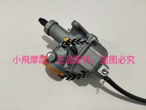 Accessories Storm Prince QJ150-3A -3B Carburetor QJ150-B -5