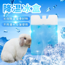 Rabbit Cooling Ice Box Pet Rabbit Hamster Hamster Dragon Cat Guinea Pigs Ice Crystal Ice Bag Ice Bed Heat Dissipation Plate Summer Heatstroke supplies
