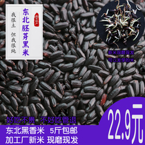 Northeast black rice 2020 grains new rice purple rice 5 pounds of rice Heilongjiang farmers own low-fat whole grain rice