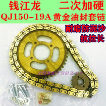 Qianjianglong QJ150-19A motorcycle secondary hard type large chain disc thick gold Oil Seal set chain