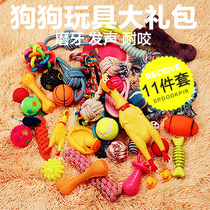 Pet dog toy products Bite-resistant molar puppy Teddy Corgi Bear Toy ball Puppy boredom artifact