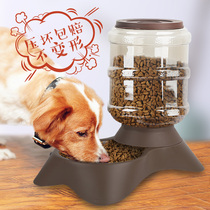 Pet Water Dispenser Pooch Cat Food Basin Kitty Water Basin Feeder Cat with Automatic Feed Water Drink Divine Instrumental Teddy Supplies