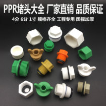 PPR plug 4 points 6 points 1 inch outer wire plug 20 25 32 PPR inner wire outer tooth plastic pipe plug cap accessories