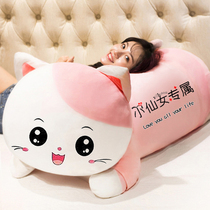 Cat plush toy doll Ragdoll pillow Girl sleeping bed big doll Cute super soft birthday gift
