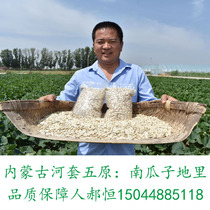 21 years new original raw pumpkin seeds Inner Mongolia gourd seeds large white-skinned melon seeds snacks nuts fried goods