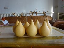 Natural scoop gourd small scoop gourd pear-shaped gourd round gourd shaped gourd pyrography raw materials