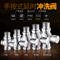 All-copper delayed hand-pressed flushing valve squatting toilet stool flushing valve Toilet valve self-closing flushing valve switch