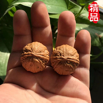 Wenwen small walnut Beijing eight Edge big thick tendon White Lion Wild hand twist walnut small size mini official cap Apple Orchard