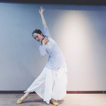 Classical dance practice suit Flared sleeve blouse Elastic mesh female top Dance body rhyme suit Ballet yoga yarn