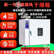 Electric blast constant temperature oven Industrial small oven Medicine drying box Headlight oven meltblown cloth mold oven