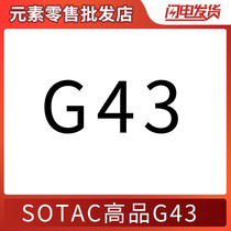 SOTAC high quality G43 picture quality clear outdoor sports G33 outdoor toys Nylon metal