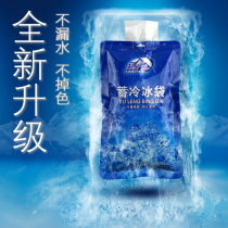 Fresh direct send upgraded version of ice bag fresh preservation refrigerated water water ice bag 400ml200 ml ice bag Express dedicated