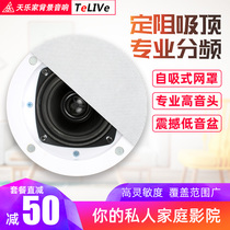Tianyun family S41 ceiling horn sound fixed ceiling narrow edge background music host speaker moisture-proof