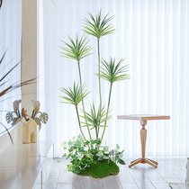 Nordic simulation green plant agave fake tree plant potted indoor living room decoration floor-to-ceiling decoration dragon blood iron tree