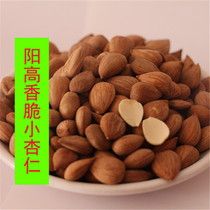New Shanxi speciality shellless cooked sweet almonds golden almond nuts almond snacks dried fruit raw and cooked Yanggao Almond