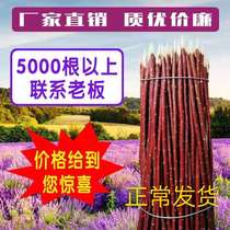 Xinjiang red willow branch Red willow barbecue sign barbecue sign Shish kebab sign Red willow wood skewer meat skewer sign