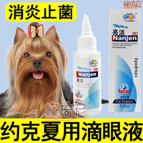 Yorkshire special eye drops to tear scar conjunctival keratitis anti-inflammatory bacteria pet dog eye cleaning products