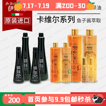 Isanna black Hyun fluffy shampoo Imported ISB pet dog bath products Puppy hair care cat shower gel