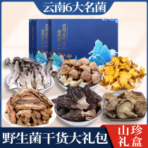 Yunnan Wild Mushroom New Year’s Goods Gift Pack Mushroom Mushroom Dried Goods Gift Box Spring Festival Mountain Treasures Chinese New Year Specialty Gifts