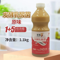 Hung He Nosen fermented lactic acid bacteria raw beverage 1 1kg yoghurt concentrated yogurt Yogurt multi drink thick pulp