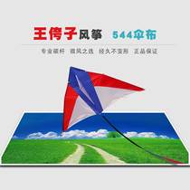 Wang Yazi Kite Breeze Kite Large Triangle 544 Umbrella Carbon Pole Adult Breeze Easy Fei Weifang Professional