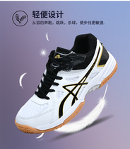 Volleyball shoes shock-absorbing non-slip summer model breathable ultra-light professional training sports badminton mens shoes womens shoes