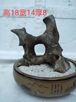 Guangxi mountain family Taihu stone ornaments bonsai with stone Rockery stone stone stone stone Alpine stone A1