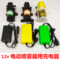 Electric sprayer diaphragm pump 12V battery small pressure pump head landscaping agricultural spray pump