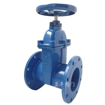 Ductile iron flange dark rod soft seal gate valve dn50dn80dn100dn150dn200dn300 Water